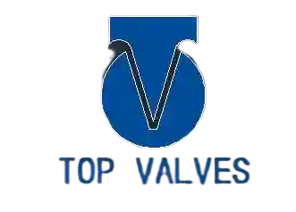 Company TIANJIN TOP AUTOMATION EQUIPMENT CO.LTD logo